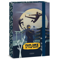 Ars Una Ninjas in the dark gumičkový box na zošity A4