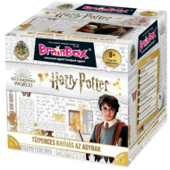 BrainBox - Harry Potter spoločenská hra