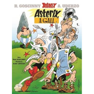 Móra: Asterix 1. - Asterix, Galský komiks