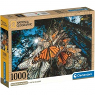 National Geographic - Úžasné motýle 1000 kusov puzzle - Clementoni