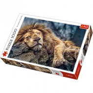 Spiaci lev 1000 ks Premium puzzle - Trefl