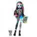 Monster High bábika - Strašne nová Frankie Stein - Mattel