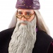 Harry Potter a tajomná komnata: Dumledore Profesor figúrka - Mattel